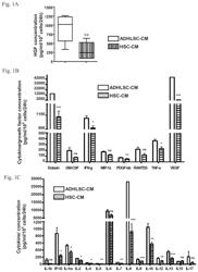 Conditioned medium from human adult liver stem cells and its use in the treatment of liver disorders