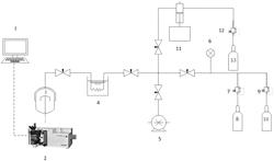 Device and method of gas hydrate pressure maintaining replacement for in-situ Raman analysis