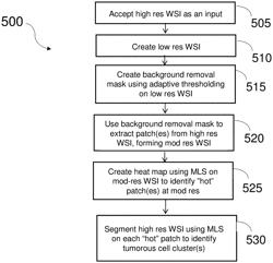 Tumor detection and segmentation for DPI AI platform routes