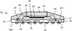 Image sensor package with transparent adhesive covering the optical sensing circuit