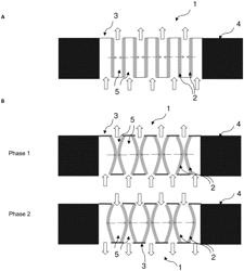 MEMS transducer with improved performance