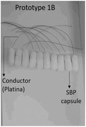 SMALL BIO-REACTOR PLATFORM (SBP) TECHNOLOGY AS MICROBIAL ELECTROCHEMICAL SYSTEMS