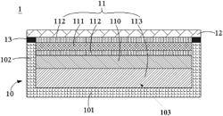 DISPLAY MODULE