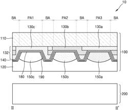 Optical filter and display device including the same