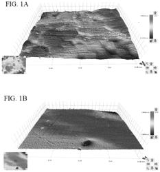 DENTURE OR REMOVABLE DENTAL PROSTHETIC MADE FROM COMPOSITE MATERIAL