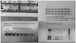 MEANS AND METHODS OF PREVENTING AND TREATING INFECTIONS