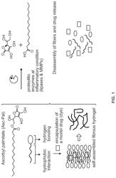 Nanostructured Gels Capable of Controlled Release of Encapsulated Agents