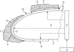 ICE PROTECTION SYSTEM INCLUDING FREQUENCY DEPENDENT SUSCEPTOR