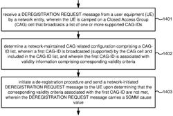 ABNORMAL HANDLING OF DEREGISTRATION FOR HOSTING NETWORK