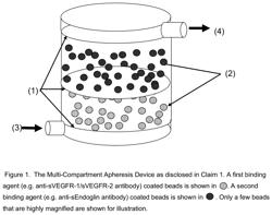 Targeted apheresis to treat preeclampsia