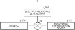 Recording and reproduction control device, and recording and reproduction control method