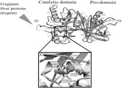 SMALL MOLECULE INHIBITORS OF BACTERIAL TOXINS