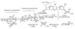 TRITERPENE SAPONIN SYNTHESIS, INTERMEDIATES AND ADJUVANT COMBINATIONS