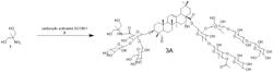 Saponin derivatives with improved therapeutic window