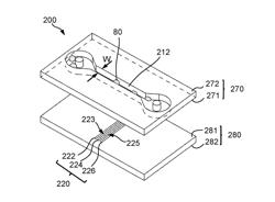 LABEL-FREE ELECTRICAL MONITORING OF CELL AGGREGATES