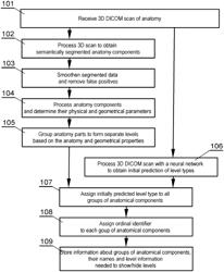 AUTONOMOUS LEVEL IDENTIFICATION OF ANATOMICAL BONY STRUCTURES ON 3D MEDICAL IMAGERY