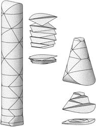 Collapsible article comprising combinations and multiplications of foldable sections