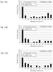 Marker associated with smut resistance in plant belonging to genus