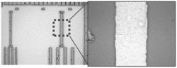 Photosensitive compositions, quantum dot polymer composite pattern prepared therefrom, and electronic devices including the same