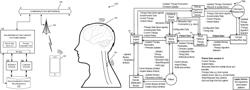 Neuromodulation therapy development environment