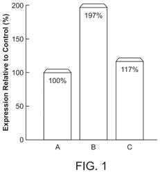 COMPOSITIONS COMPRISING COMBINATIONS OF COLLAGEN OR ELASTIN POLYPEPTIDES WITH ACTIVE INGREDIENTS AND METHODS OF USING SAME