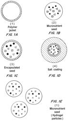 FORTIFIED MICRONUTRIENT SALT FORMULATIONS