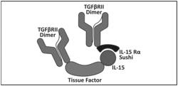 METHODS OF REDUCING NEUROINFLAMMATION