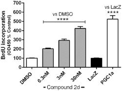 PPAR AGONISTS, COMPOUNDS, PHARMACEUTICAL COMPOSITIONS, AND METHODS OF USE THEREOF