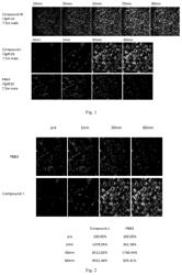 HETEROARYL COMPOUNDS AND USES THEREOF