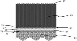 Verifiable and Repairable Dry Tomb Biolandfill for Biological Carbon Sequestration And Methods of Construction