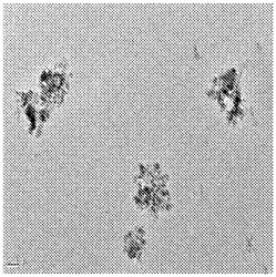 SILICON- CARBON COMPOSITE ANODE MATERIAL AND PREPARATION METHOD THEREOF, AND LITHIUM ION BATTERY