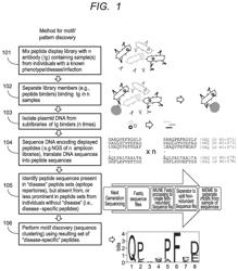 Methods and compositions for assessing antibody specificities