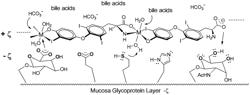 METALLO-LIOTHYRONINE