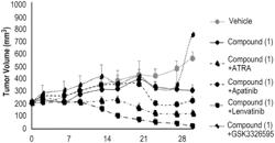 COMPOSITIONS COMPRISING BISFLUOROALKYL-1,4-BENZODIAZEPINONE COMPOUNDS FOR TREATING ADENOID CYSTIC CARCINOMA