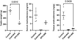 COMPOSITIONS FOR NON-SURGICAL PREVENTION OF BOAR TAINT AND AGGRESSIVE BEHAVIOR