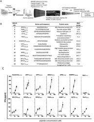 TUMOR-ASSOCIATED PEPTIDES AND USES THEREOF