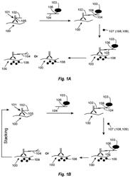 Multiplexed Catalyzed Reporter Deposition