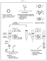 Analysis method for extracellular vesicles, using size exclusion chromatography, and use for same