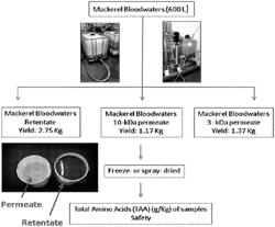 Antihypertensive Food Ingredients for Companion Animal Applications