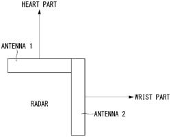 METHOD AND APPARATUS FOR MEASURING BLOOD PRESSURE USING RADAR