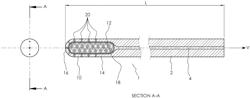 SAMPLING CATHETER