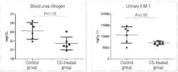 PREVENTION OF KIDNEY INJURY INDUCED BY HEMOLYTIC REACTION