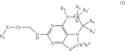 HIGH-ACTIVITY WNT PATHWAY INHIBITOR COMPOUND