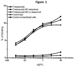 COMPOUNDS AND COMPOSITIONS FOR IMMUNOTHERAPY