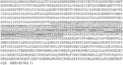 WW-DOMAIN-ACTIVATED EXTRACELLULAR VESICLES TARGETING CORONAVIRUSES