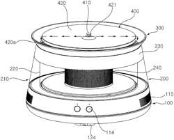 Liquid dispenser having container