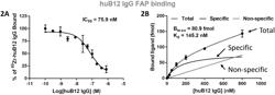 Fibroblast Activation ImmunoPET for Detection of Fibrosis Activity