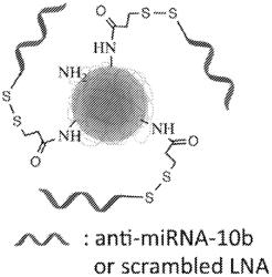 THERAPEUTIC, RADIOLABELED NANOPARTICLES AND METHODS OF USE THEREOF