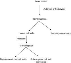 METHOD FOR DECOMPOSING PLANT MATTER