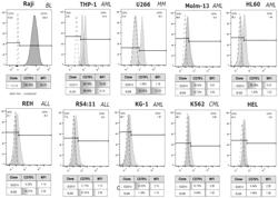 ANTIBODY AND CHIMERIC ANTIGEN RECEPTOR (CAR) BINDING TO CD70, AND APPLICATION THEREOF